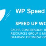 WP Speed of Light – Speed Up WordPress Pro