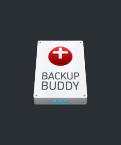 BackupBuddy - Back up, restore and move WordPress