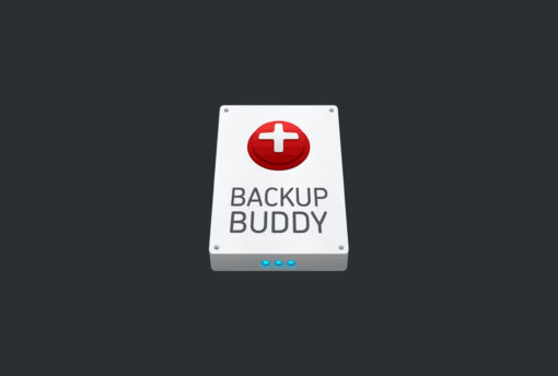 BackupBuddy - Back up, restore and move WordPress