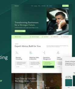 Execor - Accounting and Management Consulting WordPress Theme