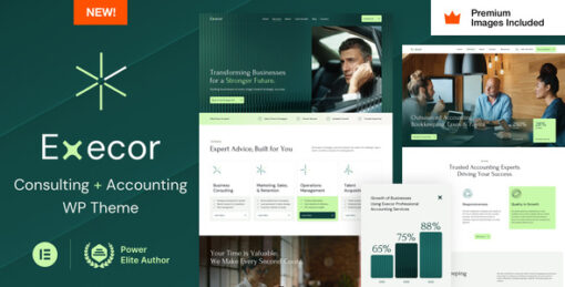 Execor - Accounting and Management Consulting WordPress Theme