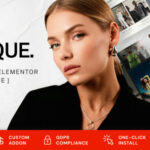 Iconique - Fashion Model Agency WordPress Theme
