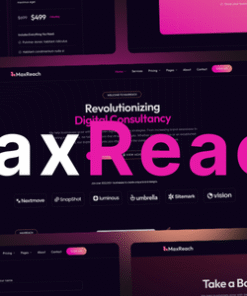 MaxReach - SEO & Digital Agency WordPress Theme