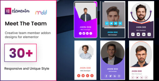 Meet the team elementor addon