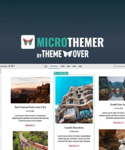 MicroThemer - WordPress CSS Editor